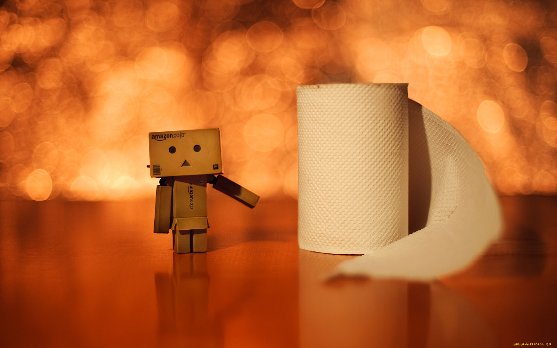 , , danboard, 